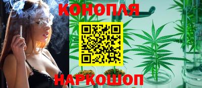 альфа пвп Севастополь