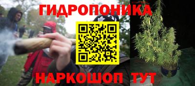 a pvp Северобайкальск