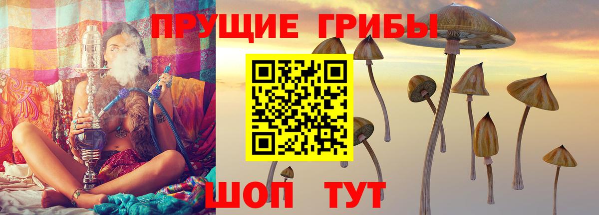 Трёхгорный  Псилоцибиновые грибы Magic Shrooms  Вход с VPN 